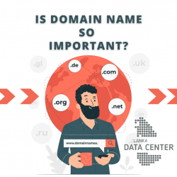 Domain name ldc